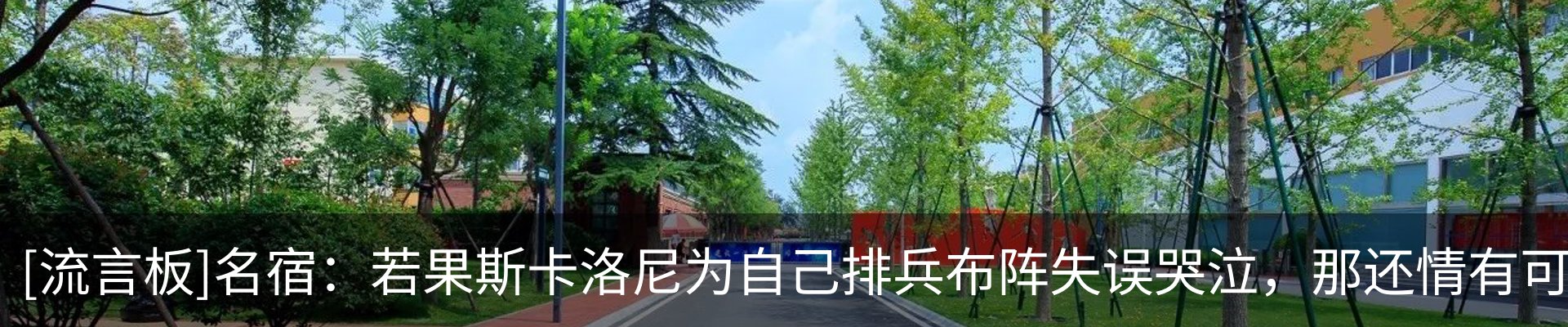 新闻动态